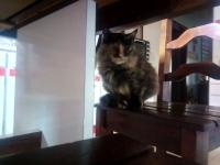 FB体育APP-绿茵场上的防守方程式，中国队的铁血锁链与阿什拉夫的赛道统治力