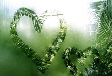 FB体育-逆龄战神！38岁詹姆斯血战加时泪洒美洲杯：最后一舞？不，我偏要改写结局！